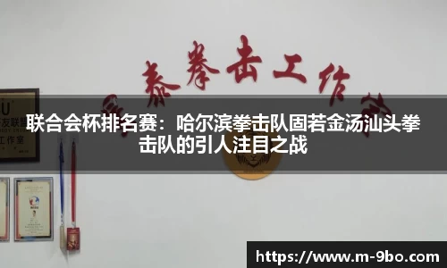 联合会杯排名赛：哈尔滨拳击队固若金汤汕头拳击队的引人注目之战